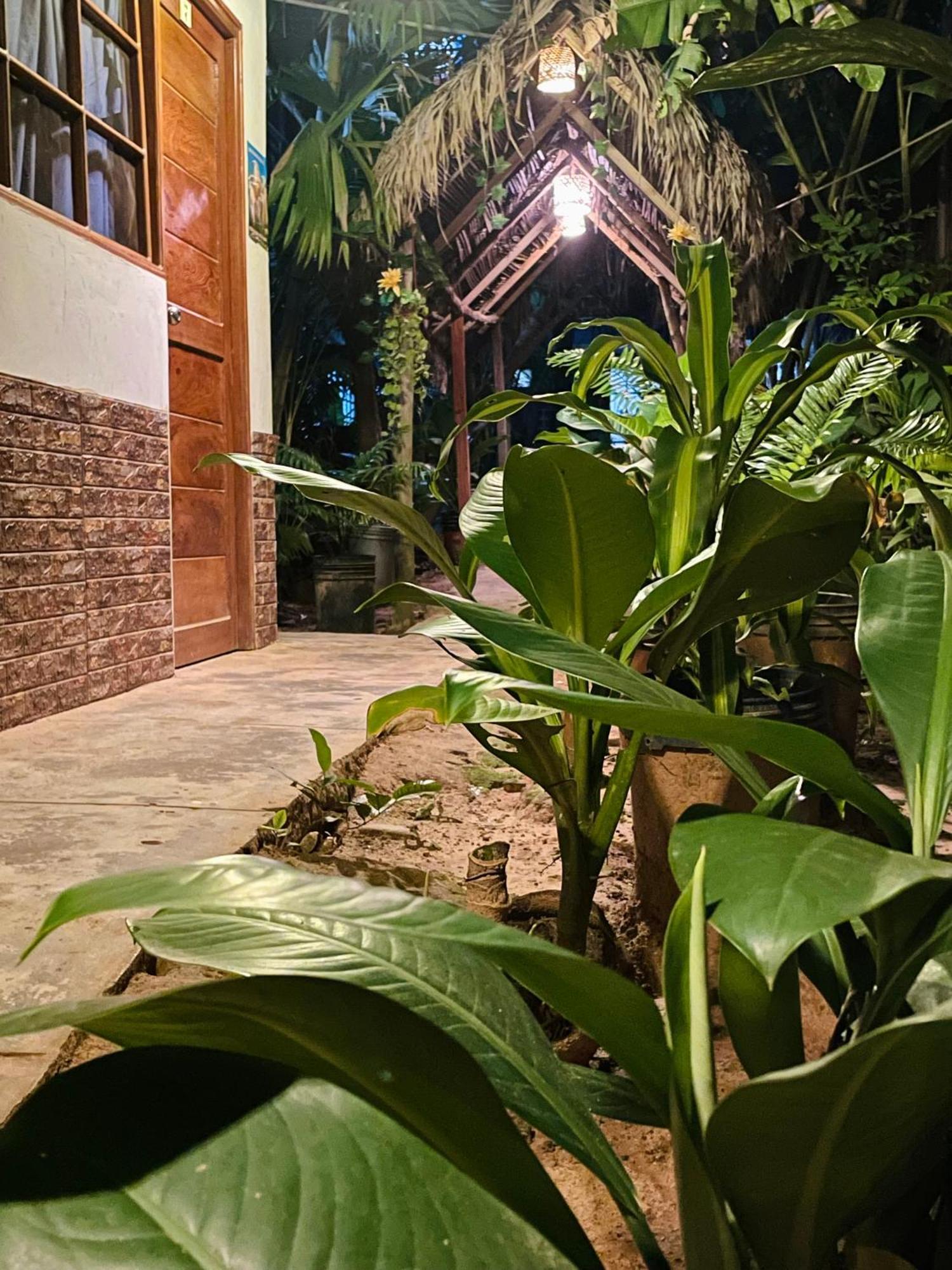Hospedaje Ecologico Purma Wasi Tarapoto Exteriér fotografie